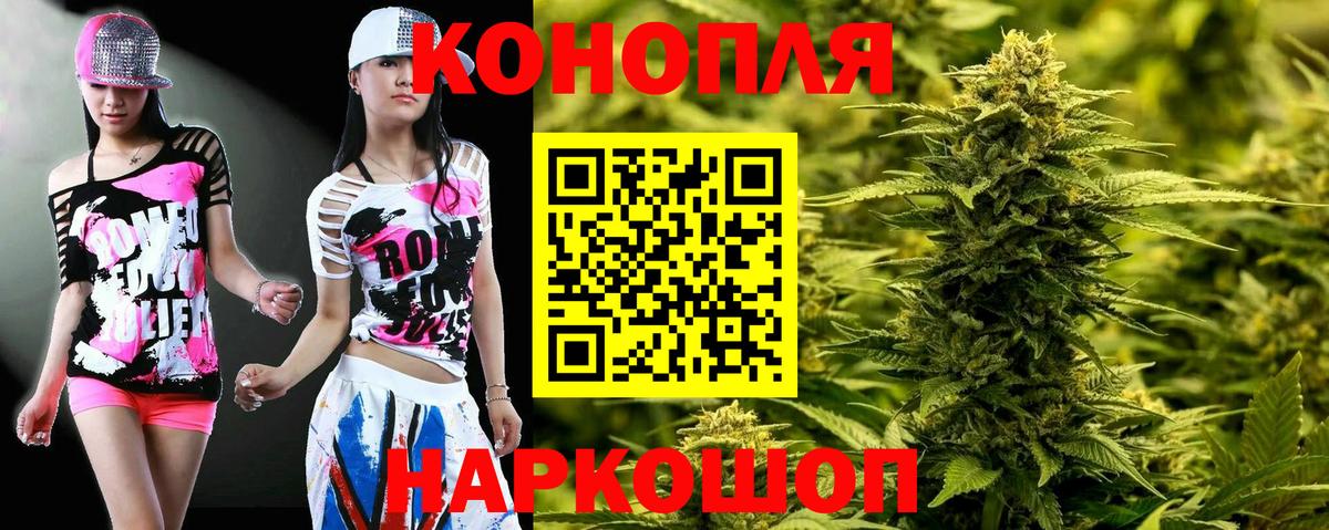Каннабис OG Kush Вологда